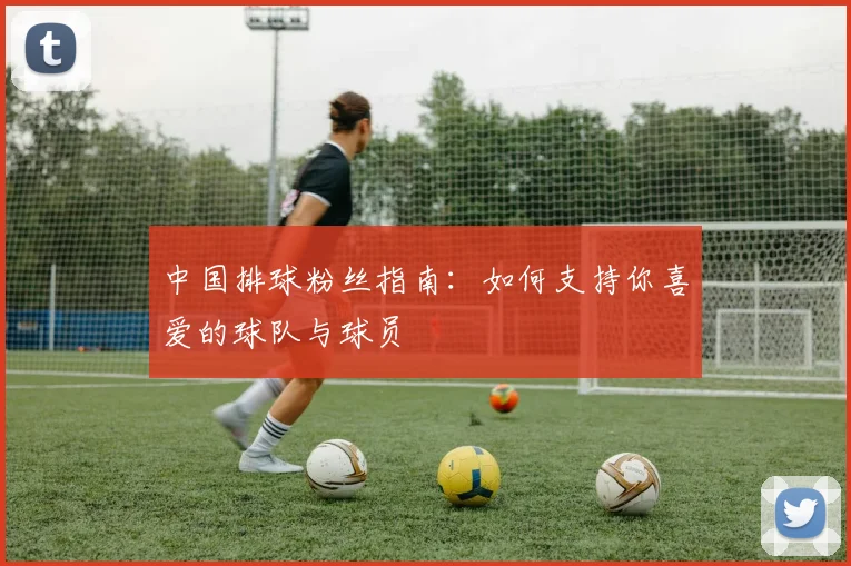 中国排球粉丝指南:如何支持你喜爱的球队与球员