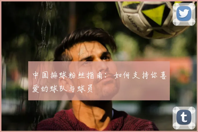 中国排球粉丝指南:如何支持你喜爱的球队与球员